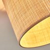 Sabadim Plafonnier beige, Écru, 1 lumière