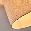 Bassagoda Plafonnier beige, Blanc, 1 lumière