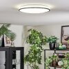 Onara Plafonnier, Panel LED Noir, Blanc, 1 lumière