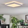 Xarel Plafonnier, Panel LED Blanc, 1 lumière