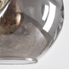 Ripoll Suspension, Boule lumineuse, Suspension Ambre, Fumé, 8 lumières