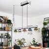 Gastor Suspension, Boule lumineuse, Suspension Bleu, Chrome, Vert, Clair, Cuivré, Fumé, 5 lumières