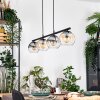 Koyoto Suspension, Boule lumineuse, Suspension Ambre, Clair, Fumé, 4 lumières