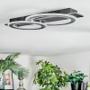 Lidor Plafonnier LED Noir, Argenté, 1 lumière
