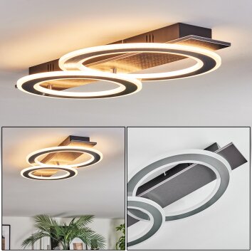 Lidor Plafonnier LED Noir, Argenté, 1 lumière