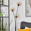 Koyoto Boule lumineuse, Lampadaire Ambre, Clair, 3 lumières