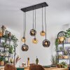 Ripoll Suspension, Boule lumineuse, Suspension Ambre, Fumé, 6 lumières