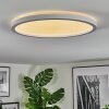 Xarel Plafonnier, Panel LED Blanc, 1 lumière