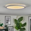 Xarel Plafonnier, Panel LED Blanc, 1 lumière
