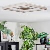 Ilion Plafonnier, Panel LED Nickel mat, Blanc, 1 lumière