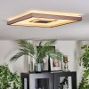 Ilion Plafonnier, Panel LED Nickel mat, Blanc, 1 lumière