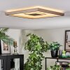 Ilion Plafonnier, Panel LED Nickel mat, Blanc, 1 lumière