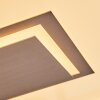 Ilion Plafonnier, Panel LED Nickel mat, Blanc, 1 lumière