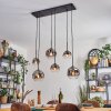 Ripoll Suspension, Boule lumineuse, Suspension Clair, Fumé, 6 lumières