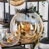 Gastor Suspension, Boule lumineuse, Suspension Ambre, Chrome, Clair, Fumé, 6 lumières