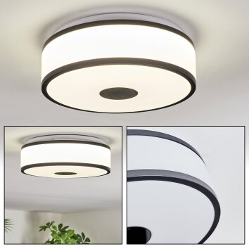 Elran Plafonnier LED Noir, Blanc, 1 lumière