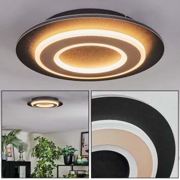 Lidor Plafonnier LED Noir, 1 lumière