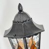 Lignac Lampe murale d´extérieur, Applique murale Noir, Argenté, 1 lumière