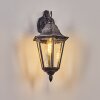 Lignac Lampe murale d´extérieur, Applique murale Noir, Argenté, 1 lumière