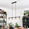 Koyoto Suspension, Boule lumineuse, Suspension Ambre, Clair, 4 lumières