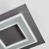 Lidor Plafonnier LED Noir, 1 lumière