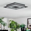 Lidor Plafonnier LED Noir, 1 lumière