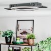 Lidor Plafonnier LED Noir, 1 lumière