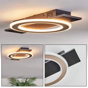 Lidor Plafonnier LED Noir, 1 lumière