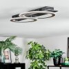 Lidor Plafonnier LED Noir, 1 lumière