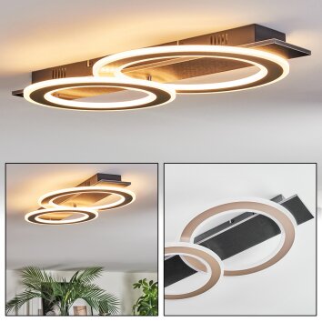 Lidor Plafonnier LED Noir, 1 lumière