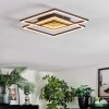 Manor Plafonnier LED Noir, 1 lumière, Télécommandes