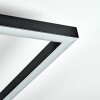 Manor Plafonnier LED Noir, 1 lumière, Télécommandes