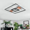 Hadel Plafonnier LED Couleur bois, Noir, 1 lumière