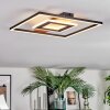 Hadel Plafonnier LED Couleur bois, Noir, 1 lumière