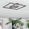 Hadel Plafonnier LED Couleur bois, Noir, 1 lumière