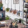 Lauden Suspension, Suspension Bleu, Vert, Clair, Cuivré, Fumé, 4 lumières