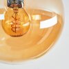 Gastor Plafonnier, Boule lumineuse Ambre, Fumé, 5 lumières