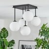Gastor Plafonnier, Boule lumineuse Blanc, 5 lumières