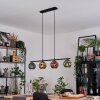 Ripoll Suspension, Boule lumineuse, Suspension Bleu, Or, Vert, Cuivré, 4 lumières