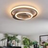 Lynor Plafonnier LED Anthracite, Noir, 1 lumière