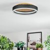 Guine Plafonnier LED Or, Noir, 1 lumière