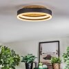 Guine Plafonnier LED Or, Noir, 1 lumière