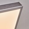Salmi Plafonnier, Panel LED Gris, Argenté, 1 lumière