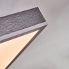 Salmi Plafonnier, Panel LED Gris, Argenté, 1 lumière, Télécommandes