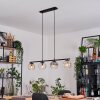Ripoll Suspension, Boule lumineuse, Suspension Ambre, Clair, Fumé, 4 lumières