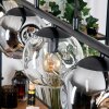 Ripoll Suspension, Boule lumineuse, Suspension Ambre, Clair, Fumé, 5 lumières