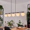 Gastor Suspension, Boule lumineuse, Suspension Blanc, 5 lumières