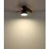 Kari Ventilateur de plafond lumineux Luminaires Globo Lighting LED Brun, Noir, 1 lumière, Télécommandes