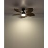 Elise Ventilateur de plafond lumineux Luminaires Globo Lighting LED Écru, Noir, 1 lumière, Télécommandes
