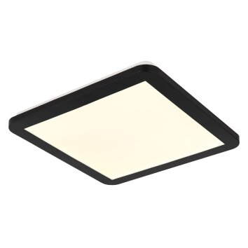 Fitzpatrick Plafonnier Luminaires Globo Lighting LED Noir, 1 lumière